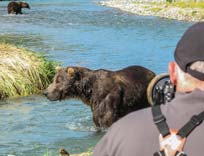Bear and Photographer